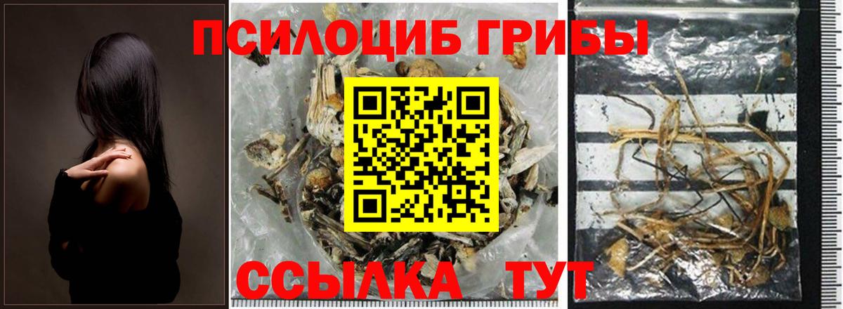 Псилоцибиновые грибы GOLDEN TEACHER Алатырь