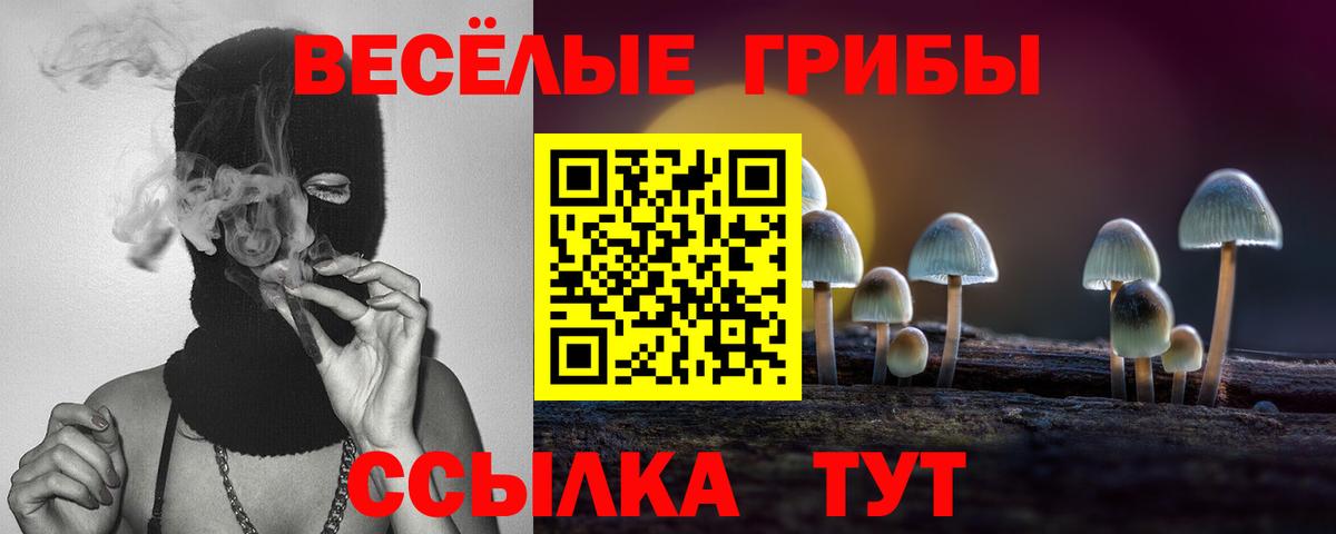 Галлюциногенные грибы Psilocybe  Псилоцибиновые грибы Cubensis  Вход с VPN  Алатырь 