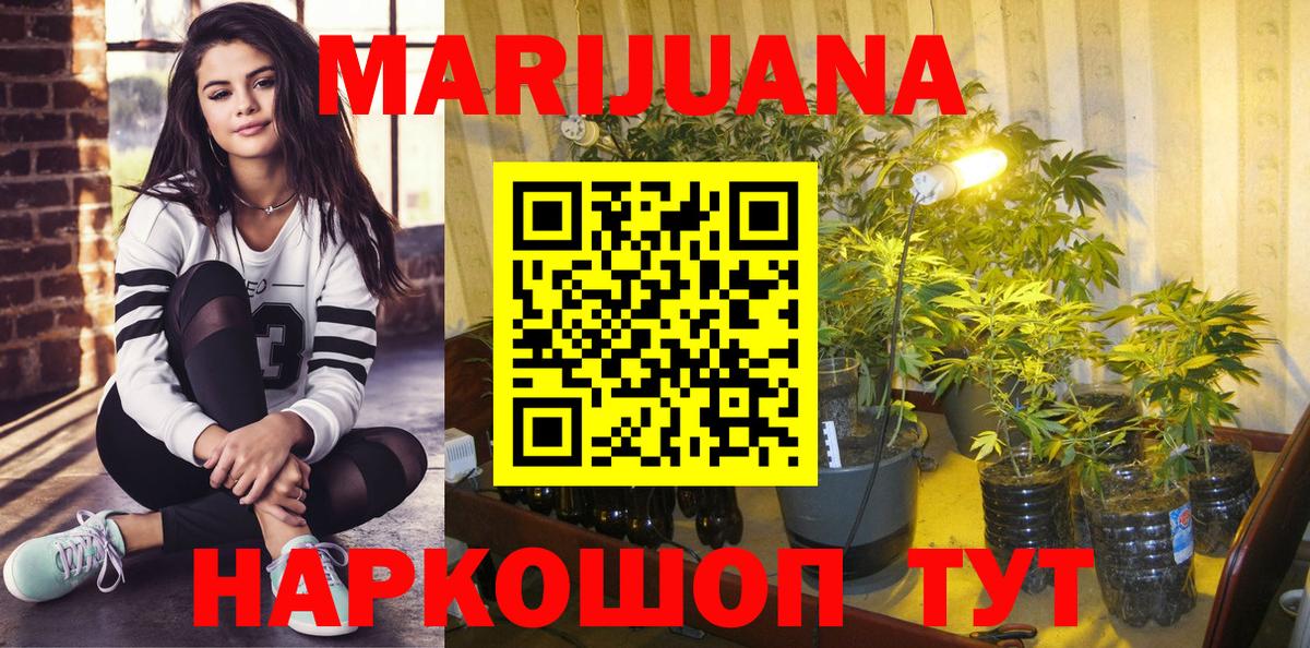Каннабис Bruce Banner  Канабис AK-47  Марихуана план  Каннабис OG Kush  Вход с VPN  Алатырь 